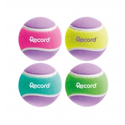 Piłka tenisowa dla psa Record 10,2 cm