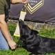 Gryzak / szarpak z juty DINGO - jeden uchwyt 60 cm