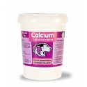 Calcium z glukozaminą fioletowe 400 g