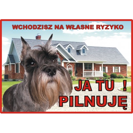 Tabliczka ostrzegawcza laminowana  - Zły pies