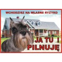 Tabliczka ostrzegawcza laminowana  - Sznaucer