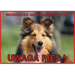 Tabliczka ostrzegawcza laminowana  - Pitbull