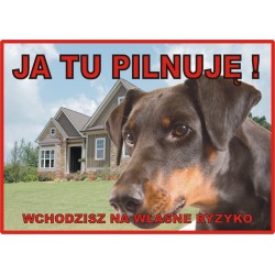 Tabliczka ostrzegawcza laminowana  - Pitbull