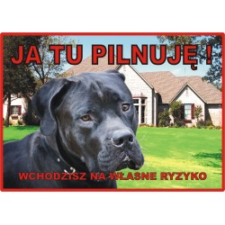 Tabliczka ostrzegawcza laminowana  - Pitbull