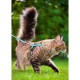 Zestaw spacerowy dla kota - szelki ze smyczą - odblaskowy