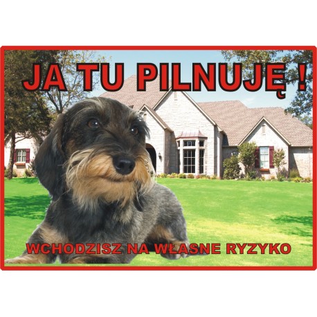 Tabliczka ostrzegawcza laminowana  - Bullterier