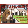Tabliczka ostrzegawcza laminowana  - Basset