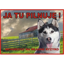 Tabliczka ostrzegawcza laminowana  - Beagle