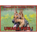 Tabliczka ostrzegawcza laminowana  - Owczarek niemiecki