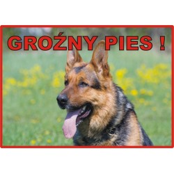 Tabliczka ostrzegawcza laminowana  - Zły pies