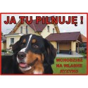 Tabliczka ostrzegawcza laminowana  - Berneńczyk