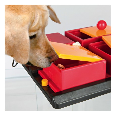 Gra startegiczna dla psa - Poker Box 1