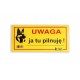 Tabliczka ostrzegawcza Dingo metalowa "UWAGA ostry pies !"