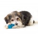 Zabawka dla szczeniąt Puppy Cuddle Pal Petstages