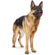 Kaganiec fizjologiczny Hunter Albury