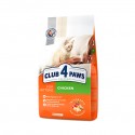 Karma dla kota Club4Paws Dla kociąt Kurczak 5kg