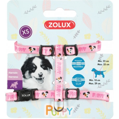 Obroża ZOLUX Puppy dla szczeniąt 13mm x 25-39 cm