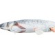 Zabawka dla kota - skacząca ryba 30 cm