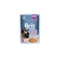 Karma mokra dla kota Brit Premium Gravy Sterilised Fillets Łosoś 85g