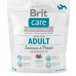 Brit Care - karma dla psów GrainFree Adult Salmon&Potato 3 kg