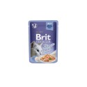 Karma mokra dla kota Brit Premium Jelly Fillets Łosoś 85g