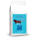 Morsel - Complete Grain Free Food - Adult Dogs - Beef Angus with Carrot 2kg